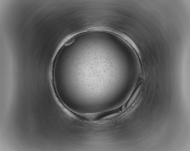 X0000115381005200911101302