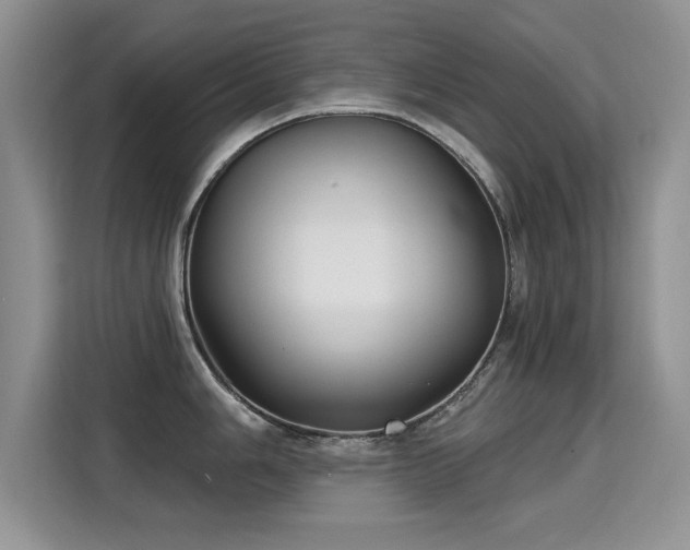 X0000115381006200911101302