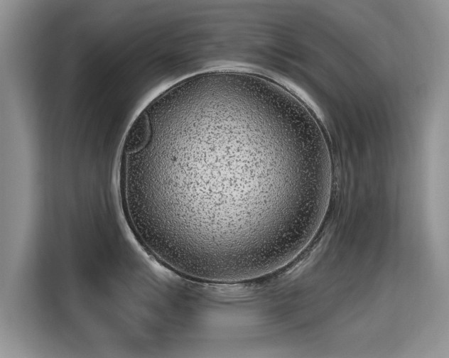 X0000115381007200911101302