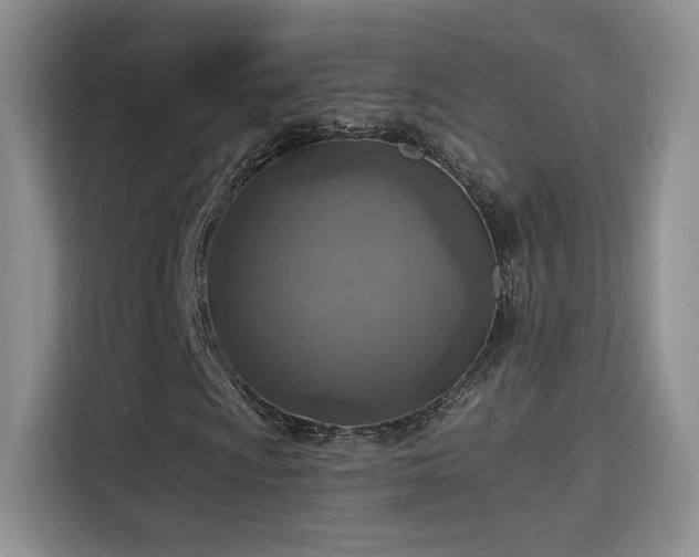 X0000115381009200911101302