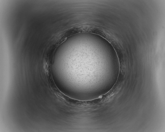 X0000115381010200911101302