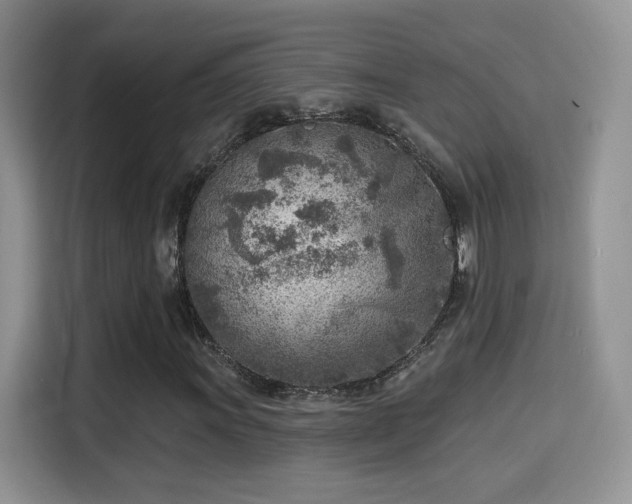 X0000115381011200911101302