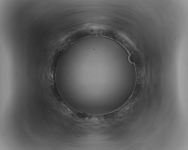 X0000115381013200911101302