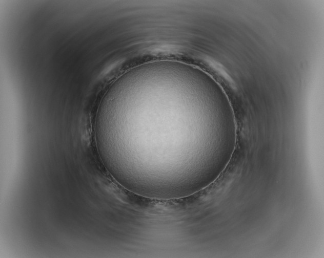 X0000115381015200911101302