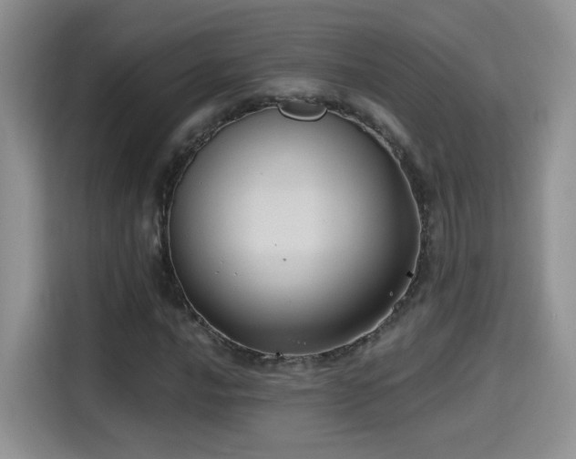 X0000115381016200911101302