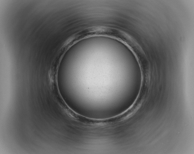 X0000115381017200911101302