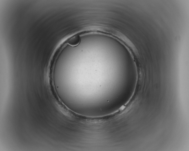X0000115381020200911101302