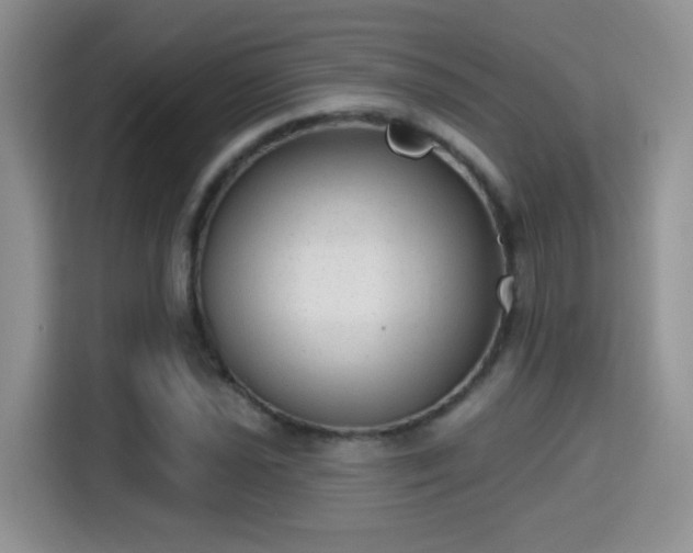 X0000115381021200911101302