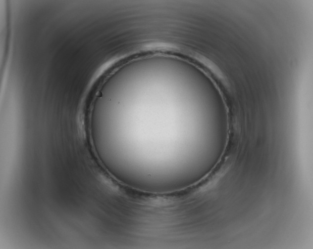 X0000115381022200911101302