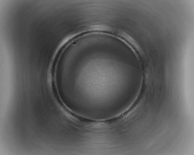 X0000115381024200911101302