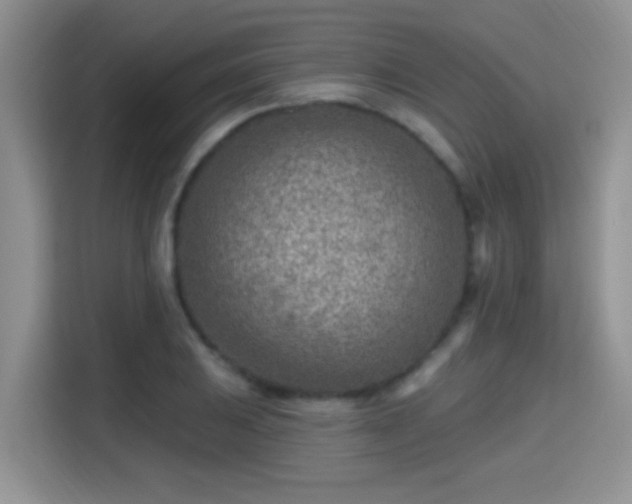 X0000115381031200911101302