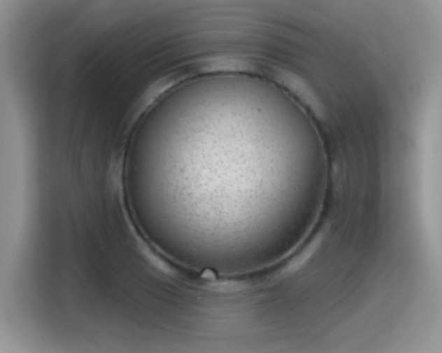 X0000115381033200911101302