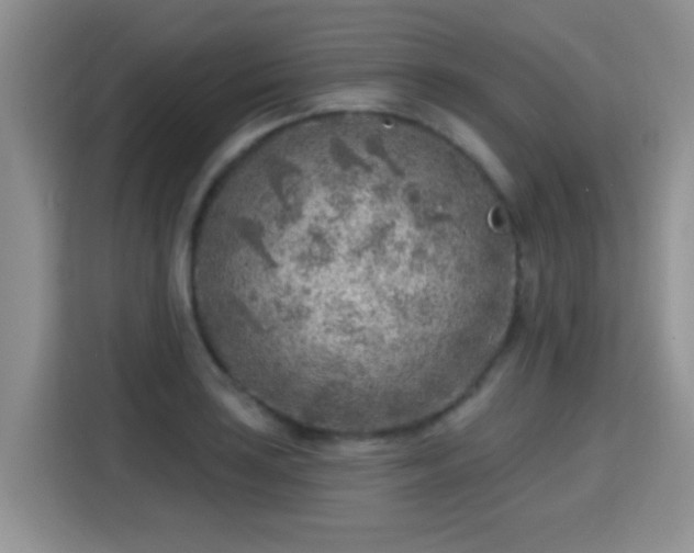 X0000115381035200911101302