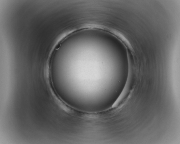 X0000115381040200911101302