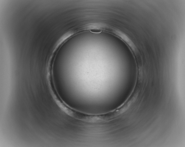 X0000115381042200911101302