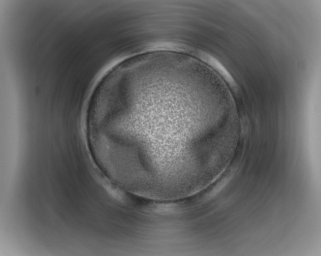 X0000115381043200911101302