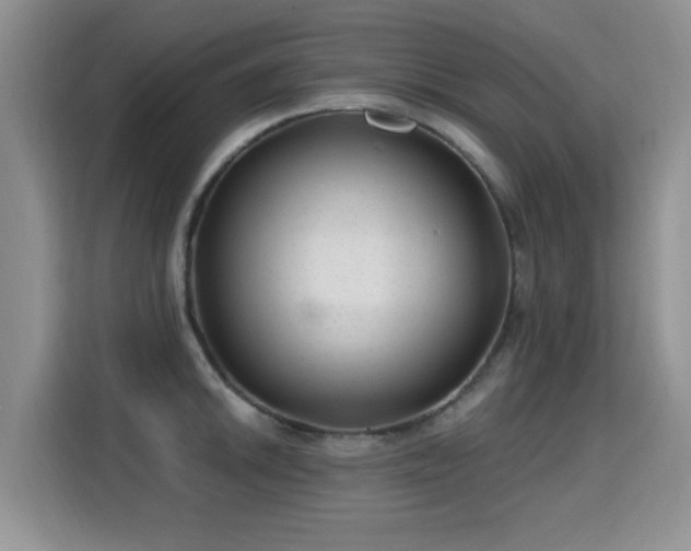 X0000115381046200911101302