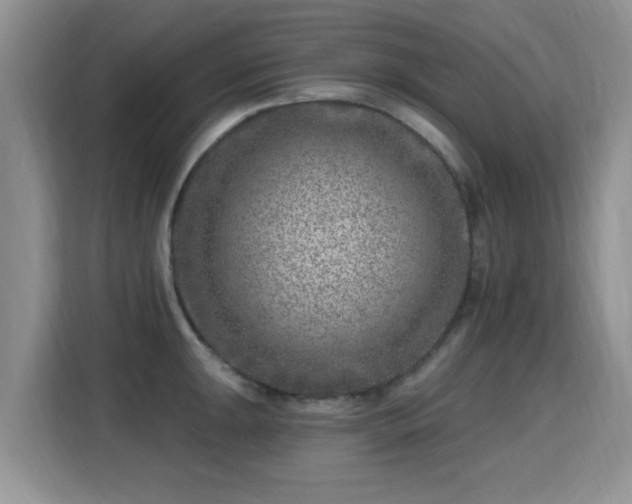 X0000115381047200911101302