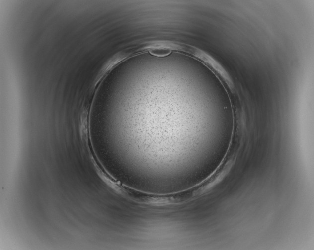 X0000115381049200911101302