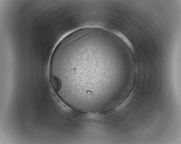 X0000115381052200911101302
