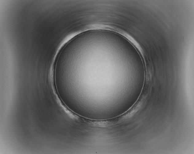 X0000115381053200911101302