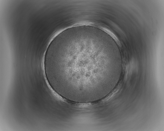 X0000115381055200911101302