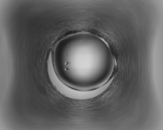 X0000115381057200911101302