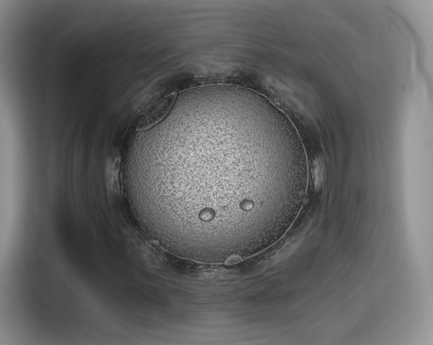 X0000115381059200911101302