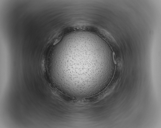 X0000115381060200911101302