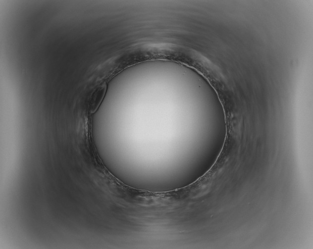 X0000115381061200911101302