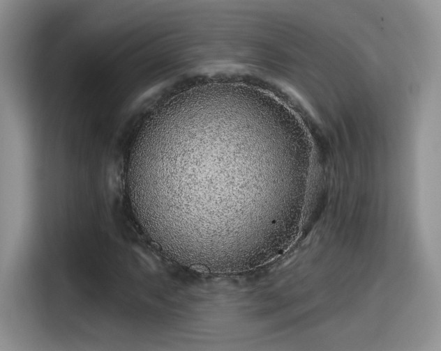 X0000115381063200911101302