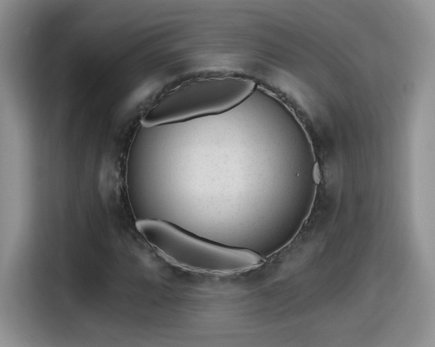 X0000115381064200911101302