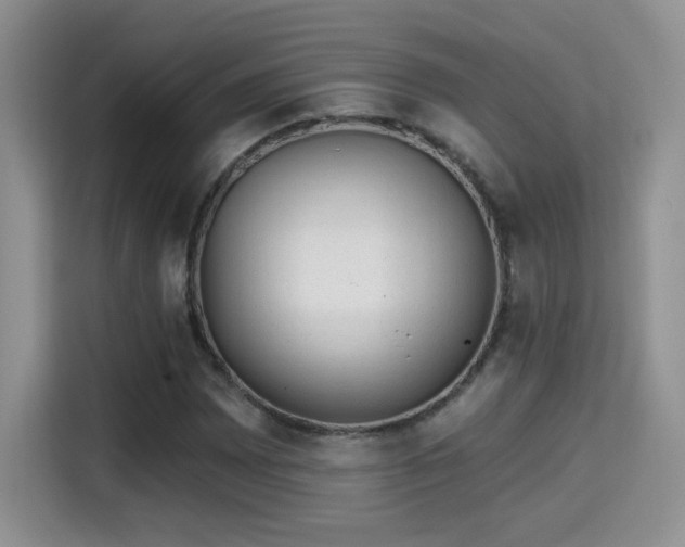 X0000115381065200911101302