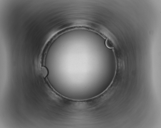 X0000115381068200911101302