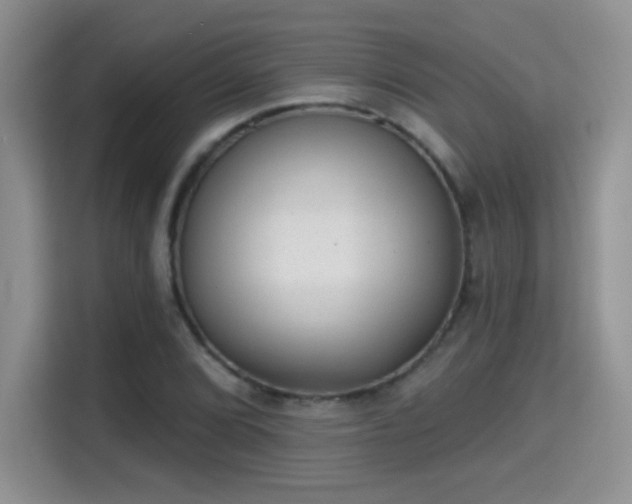 X0000115381072200911101302