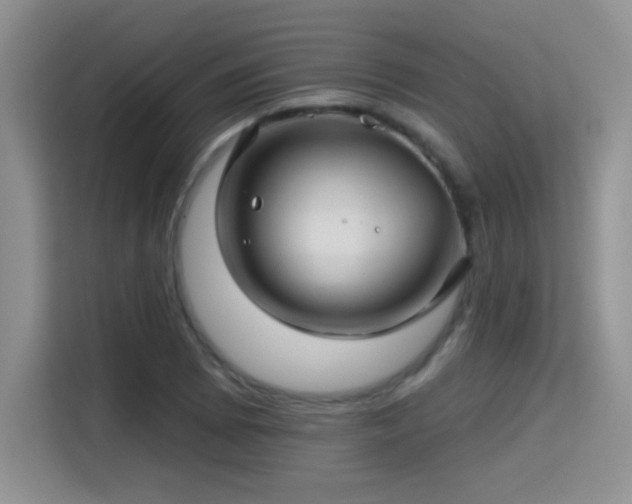 X0000115381073200911101302