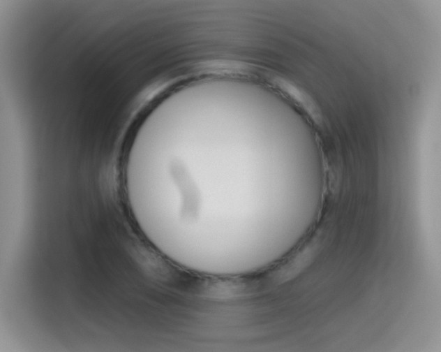 X0000115381074200911101302