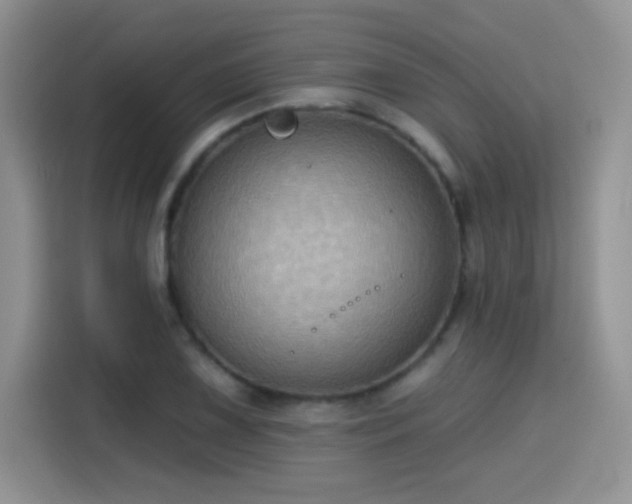 X0000115381075200911101302