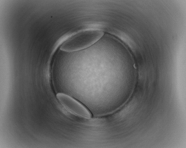 X0000115381077200911101302