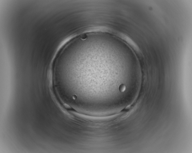 X0000115381079200911101302