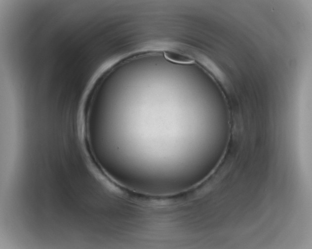 X0000115381080200911101302