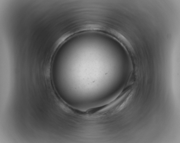 X0000115381081200911101302