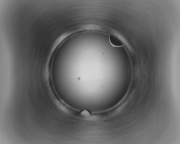 X0000115381082200911101301