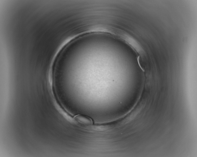 X0000115381084200911101301