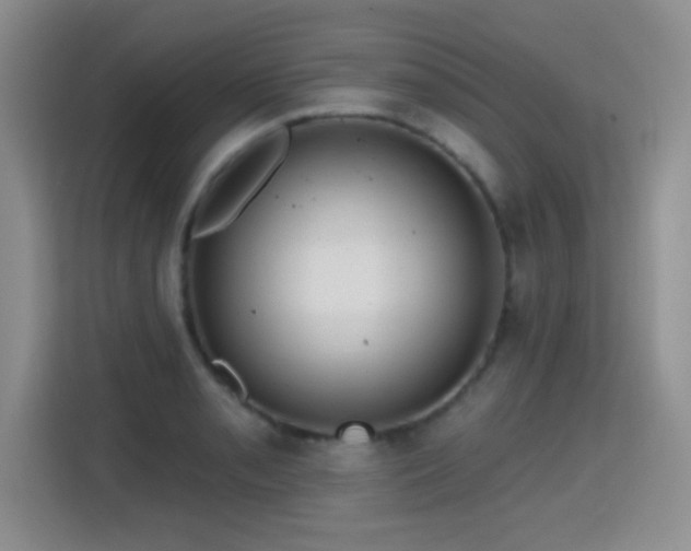X0000115381085200911101301