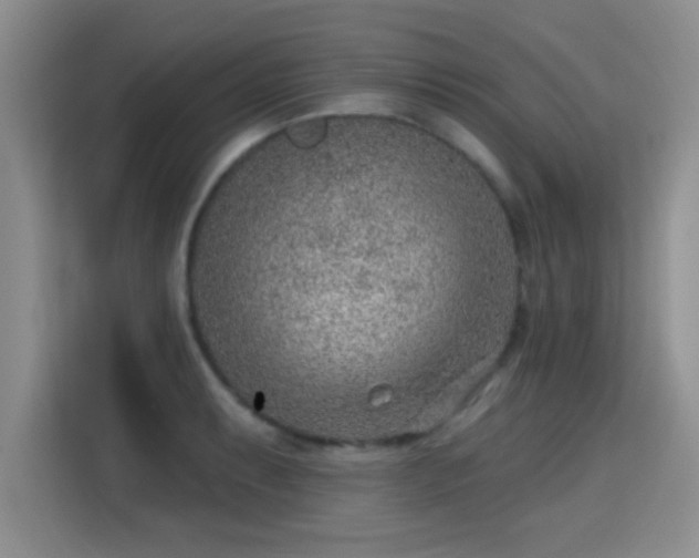 X0000115381087200911101301