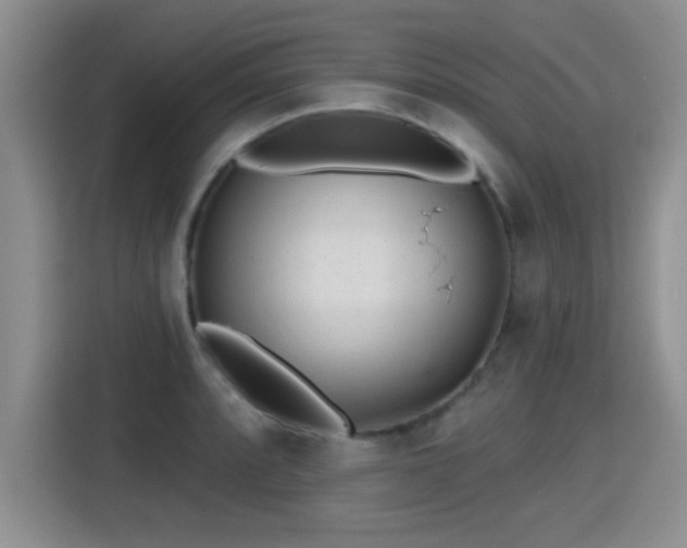 X0000115381088200911101301