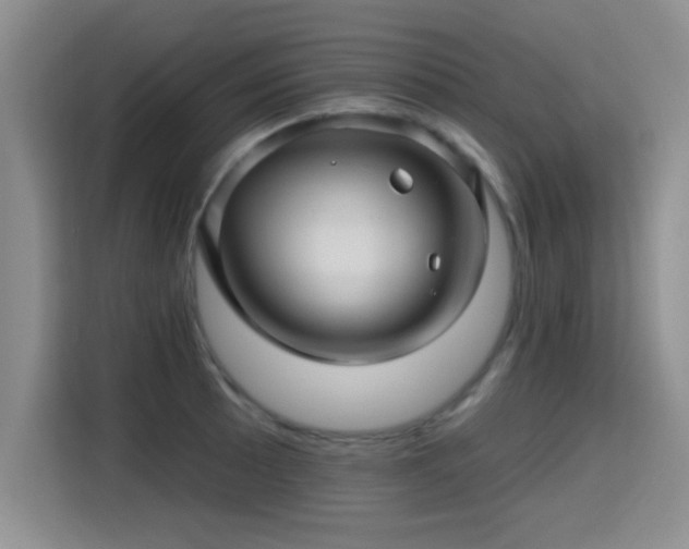 X0000115381089200911101301