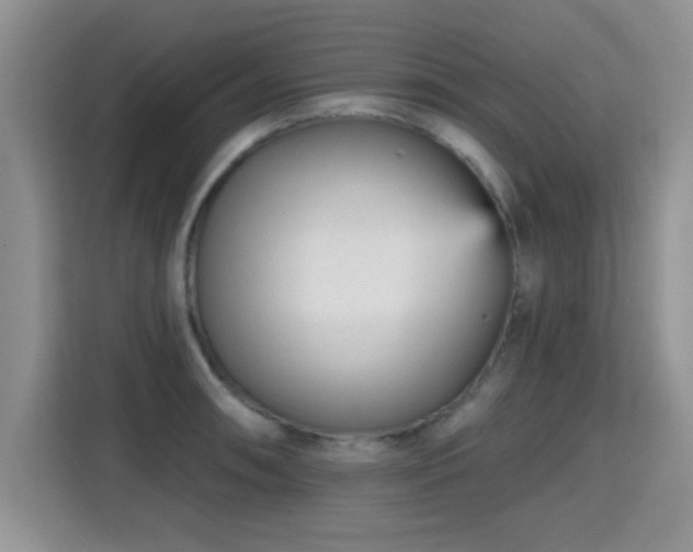 X0000115381090200911101301
