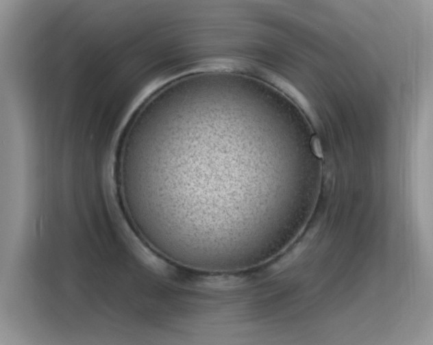 X0000115381091200911101301
